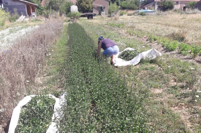 A venir : visite producteurs