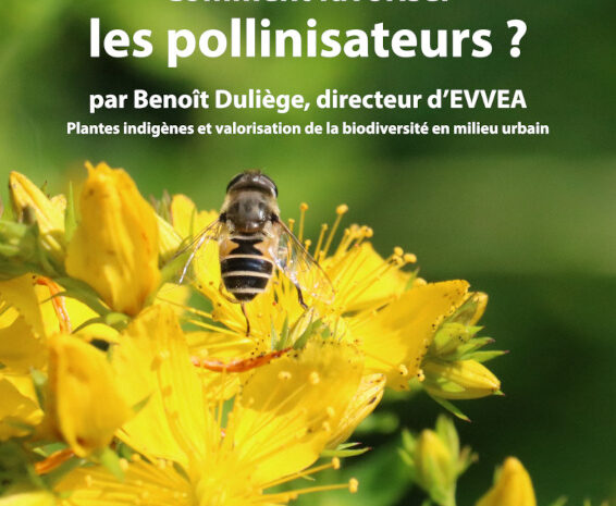 Assemblée générale 2026 et Conférence sur les pollinisateurs