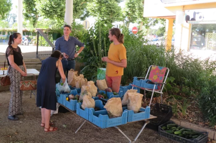 Paniers de légumes disponibles