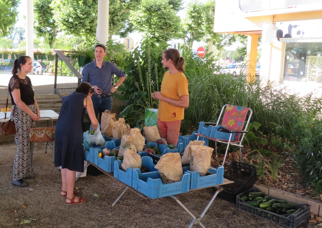 Distribution légumes