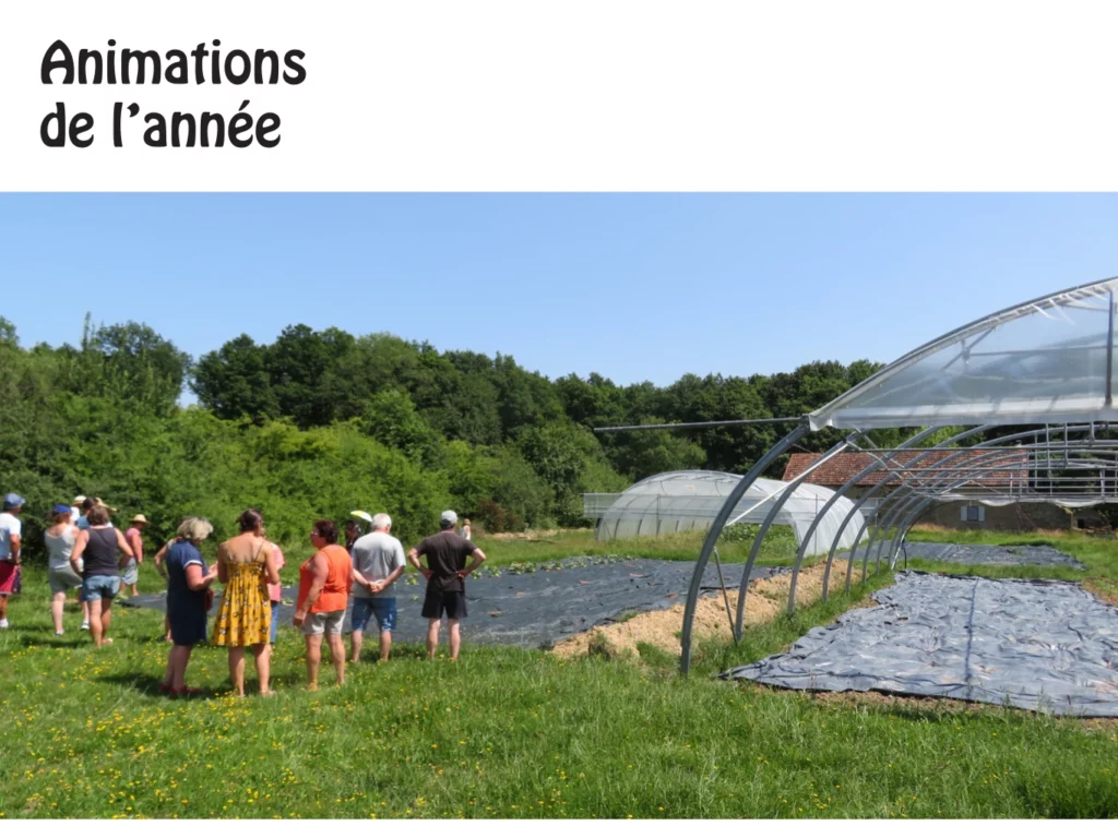 Animations année 2025