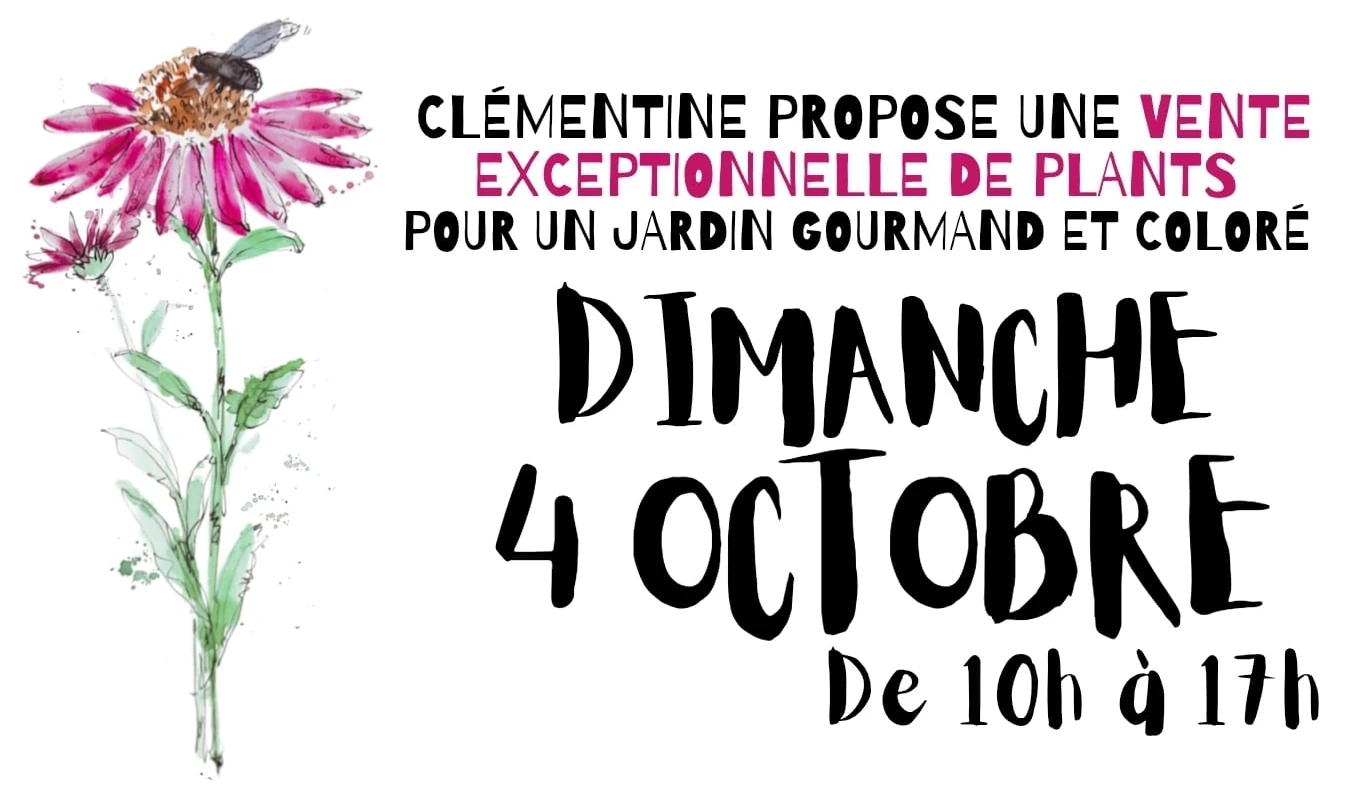 Image titre marché Garenne octobre 2026